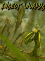 昆虫世界 免安装绿色中文版