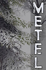 Metel恐怖逃脱 免安装汉化中文版
