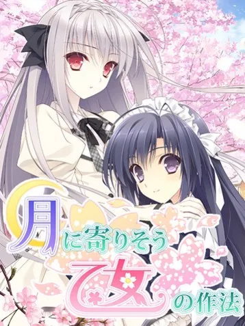 凤眼菩提颗数选择指南：了解颗数的深层含义